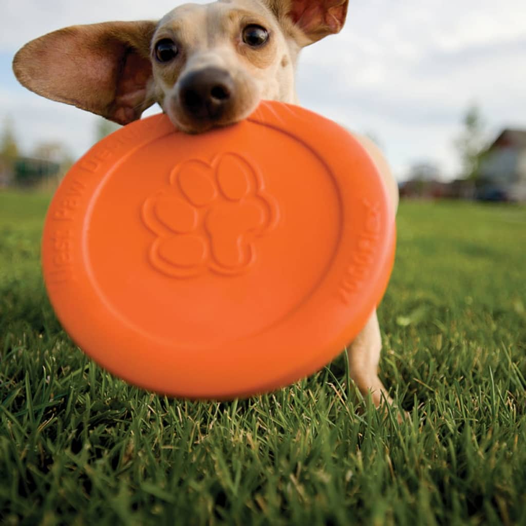 Zogoflex Hundefrisbee Zisc Orange Gr. L Orange 1937