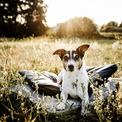 DISTRICT70 Hundematte LODGE Armeegrün XL