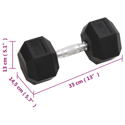 Kurzhanteln 2 Stk. 25 kg Gusseisen